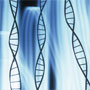 DNA Double Helix Model 